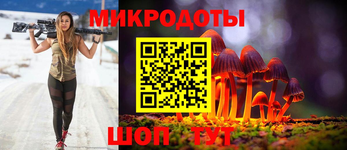 Галлюциногенные грибы Cubensis Вичуга